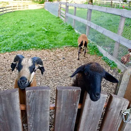 Albeinelerhof Lejlighed Arzl im Pitztal