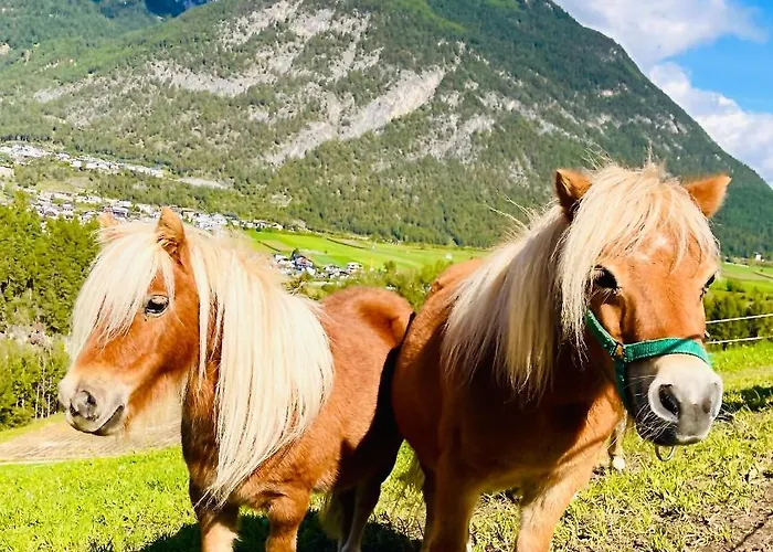 Apartment Albeinelerhof