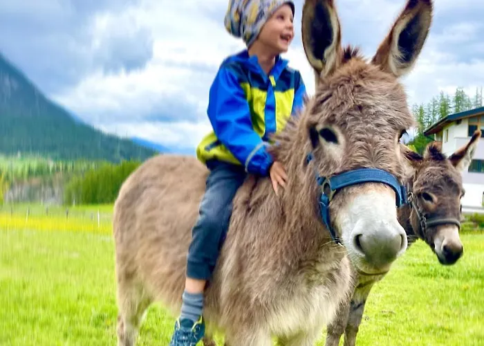 Apartment Albeinelerhof *