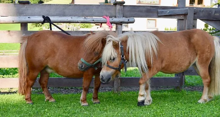 Albeinelerhof Arzl im Pitztal