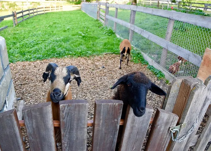 Albeinelerhof Apartment Arzl im Pitztal