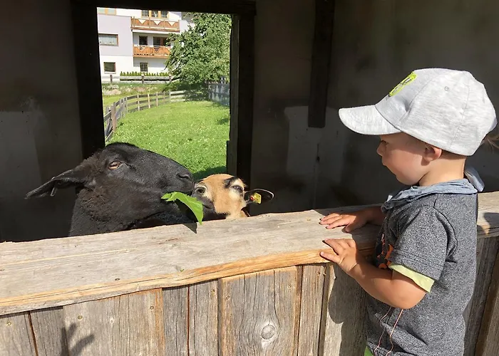 Albeinelerhof * Arzl im Pitztal