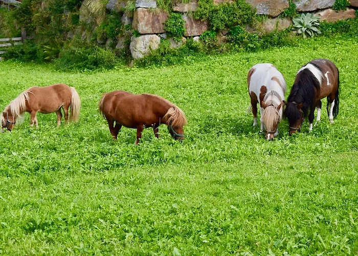 Apartment Albeinelerhof Arzl im Pitztal