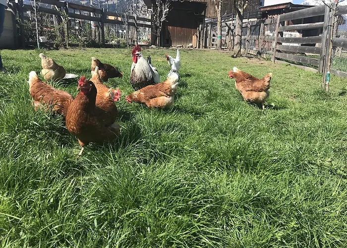 Apartment Albeinelerhof *