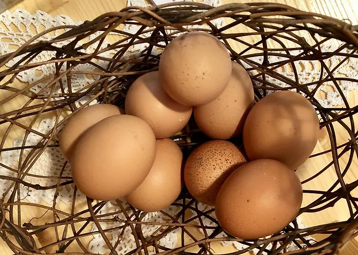 Albeinelerhof * Arzl im Pitztal