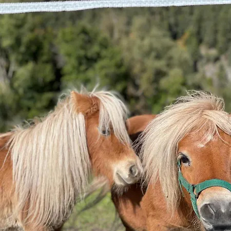 Apartament Albeinelerhof