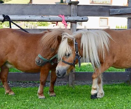 Albeinelerhof Arzl im Pitztal