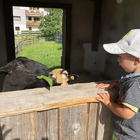 Albeinelerhof * Arzl im Pitztal