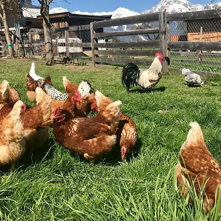 Albeinelerhof * Arzl im Pitztal