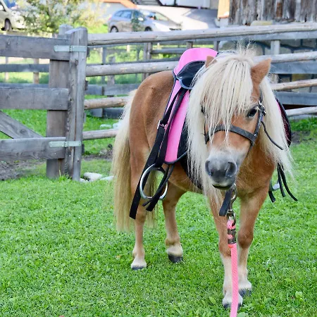 Albeinelerhof Apartament