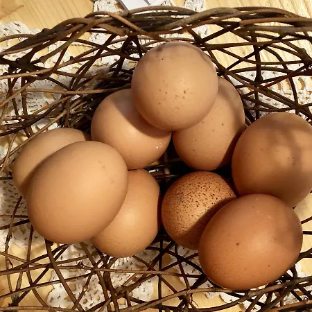 Albeinelerhof * Arzl im Pitztal